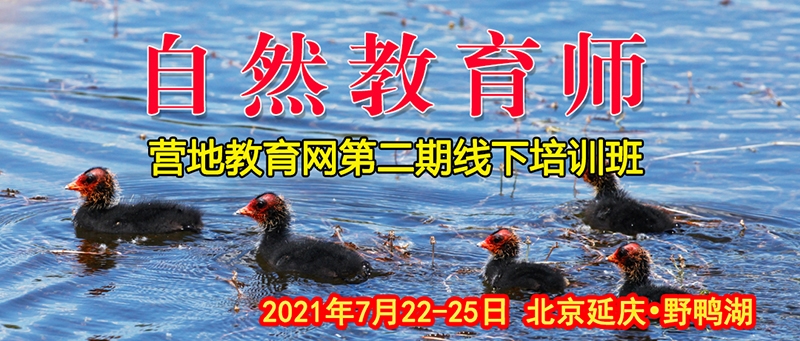 image001.jpg