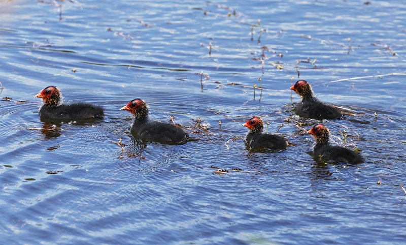 image040.jpg