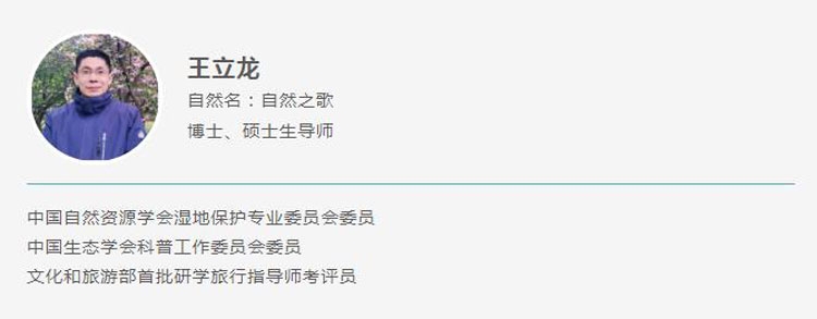 王立龙.jpg