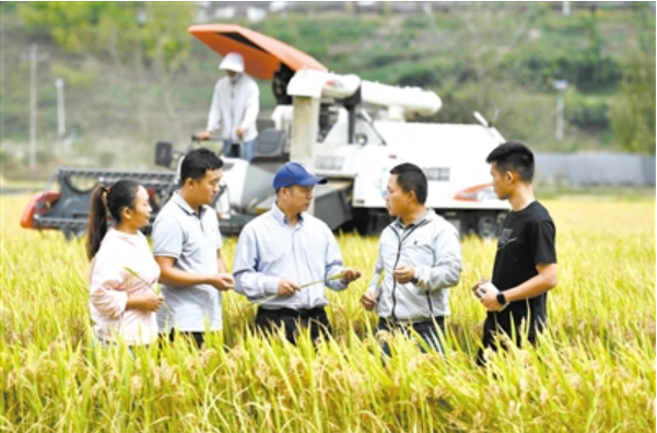 5.png
